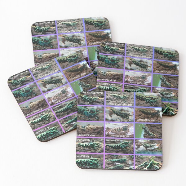 Item preview, Galaxy Caridina Shrimp  designed and sold by SuncoastShrimp.