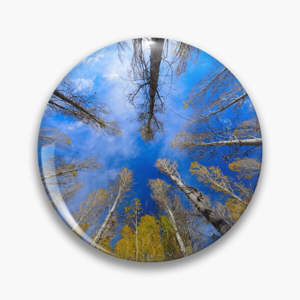 Item preview, Autumn Trees Reaching Toward Blue Sky designed and sold by onubi.