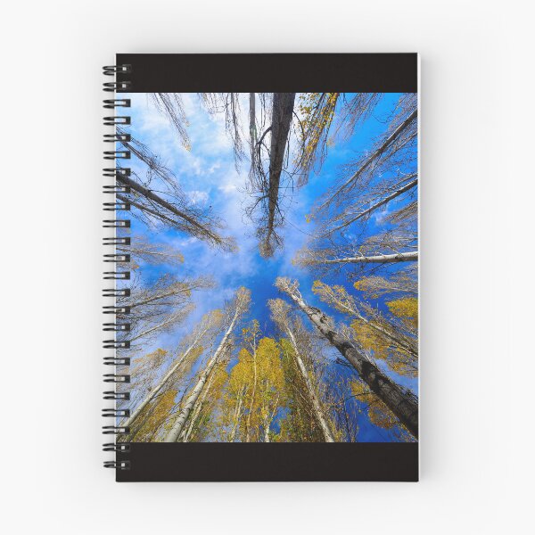 Item preview, Autumn Trees Reaching Toward Blue Sky designed and sold by onubi.
