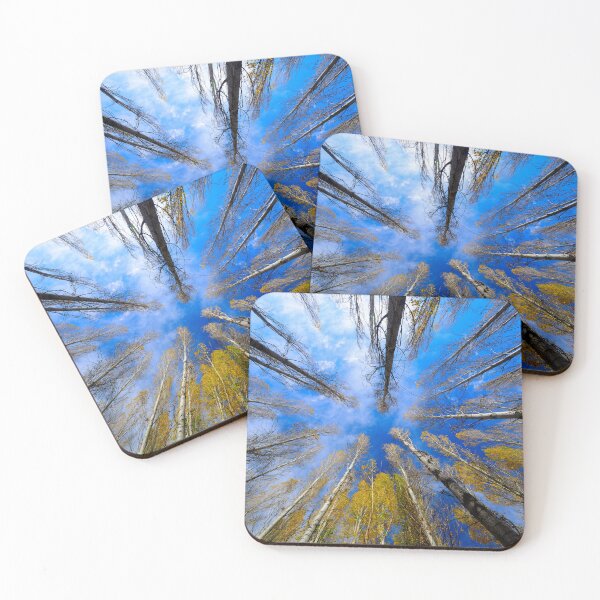 Item preview, Autumn Trees Reaching Toward Blue Sky designed and sold by onubi.