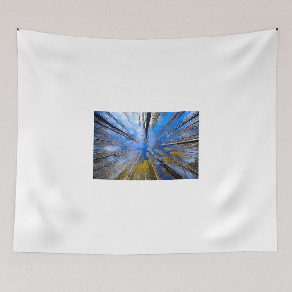 Item preview, Autumn Trees Reaching Toward Blue Sky designed and sold by onubi.