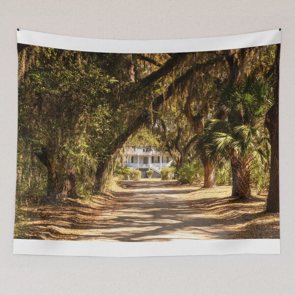 Item preview, Coffin Point Plantation designed and sold by DiFigianoPhoto.