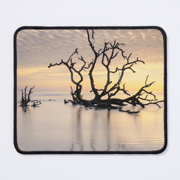 Item preview, Hunting Island 26/16 designed and sold by DiFigianoPhoto.