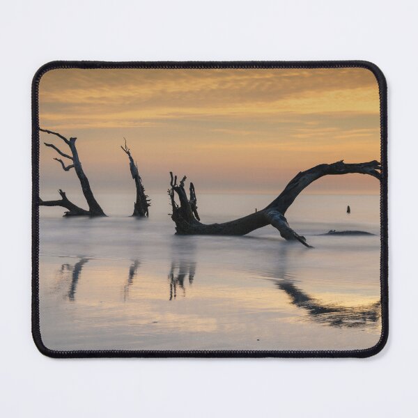 Item preview, Lowcountry Dragon designed and sold by DiFigianoPhoto.