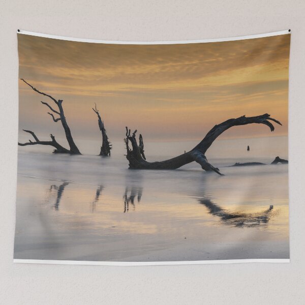 Item preview, Lowcountry Dragon designed and sold by DiFigianoPhoto.