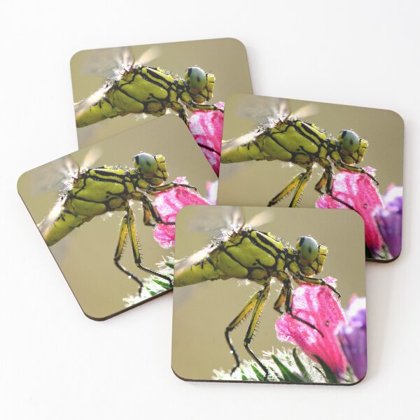Item preview, Macro Dragonfly on Flower Close-Up designed and sold by onubi.