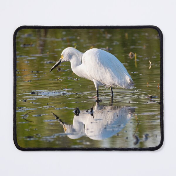 Item preview, Snowy Egret in Tranquil Waters designed and sold by Debra Martz.