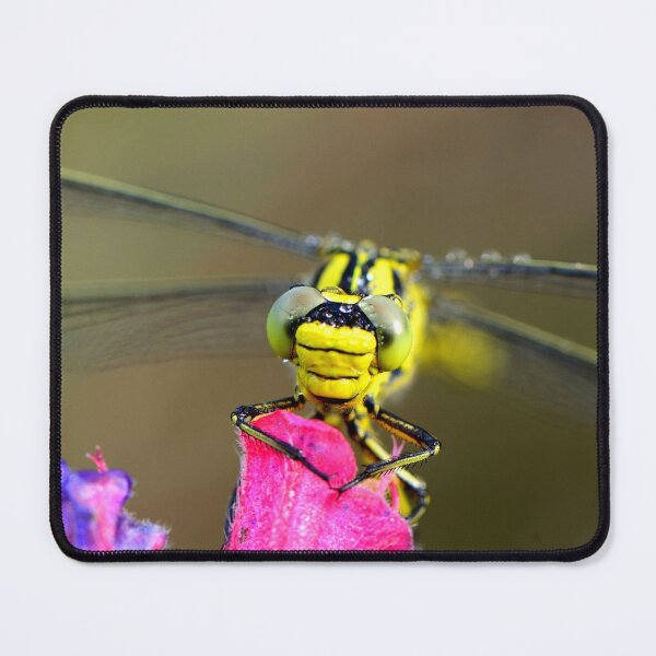 Item preview, Dragonfly Macro on Pink Flower designed and sold by onubi.