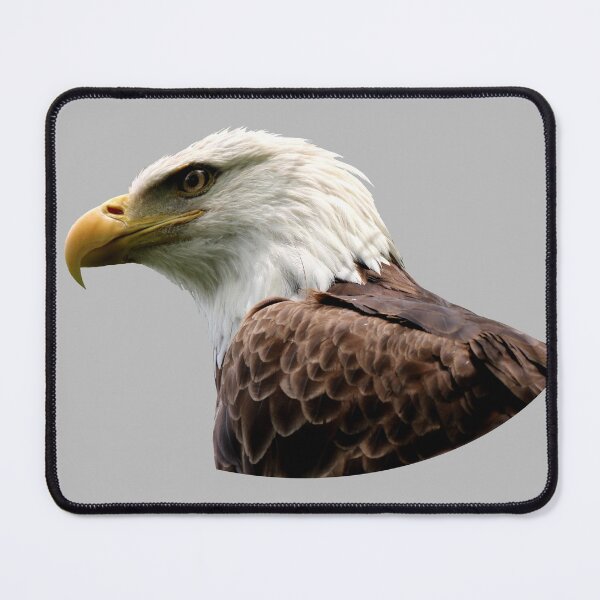 Item preview, Simple Bald Eagle Bust designed and sold by darksteel101.