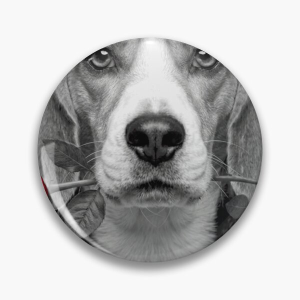 Item preview, Beagle with Red Rose designed and sold by FiscalFashions.