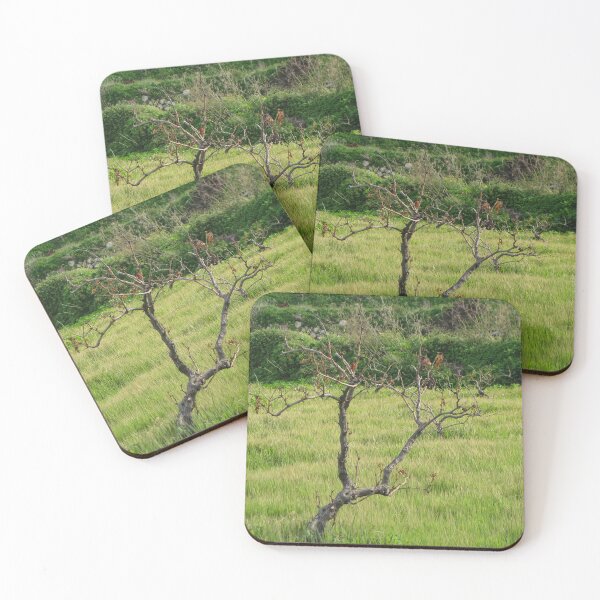 Item preview, Dried Vineyard Vine Standing Alone in Green Grassy Field With Rolling Countryside Hills designed and sold by Nmallia.