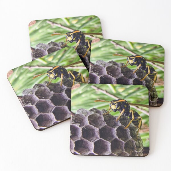 Item preview, Close-Up of a Paper Wasp on Its Nest Showing Hexagonal Cells and Yellow-Black Markings designed and sold by Nmallia.
