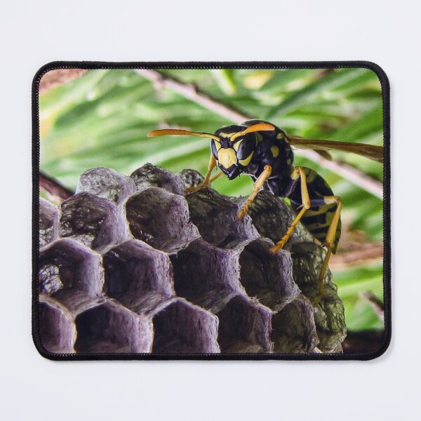 Item preview, Close-Up of a Paper Wasp on Its Nest Showing Hexagonal Cells and Yellow-Black Markings designed and sold by Nmallia.
