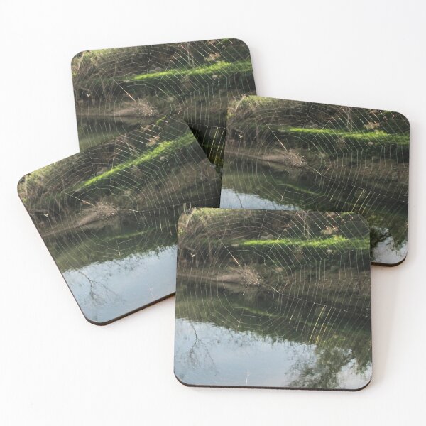 Item preview, Telaraña sobre un estanque tranquilo con reflejos de árboles en un paisaje verde natural. designed and sold by Nmallia.