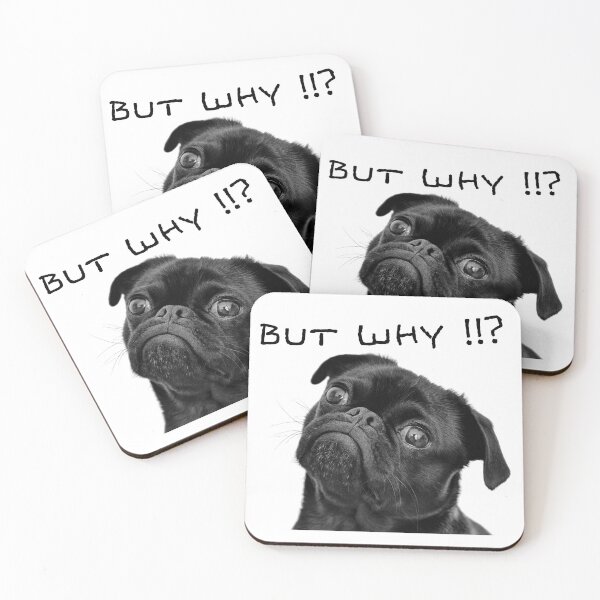 Item preview, But Why Funny Black Pug Dog Meme designed and sold by MOTAS Graphics .