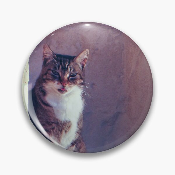 Item preview, Tabby Cat Sitting on Weathered Stone Ledge Beside Ancient Wall With Playful Expression designed and sold by Nmallia.