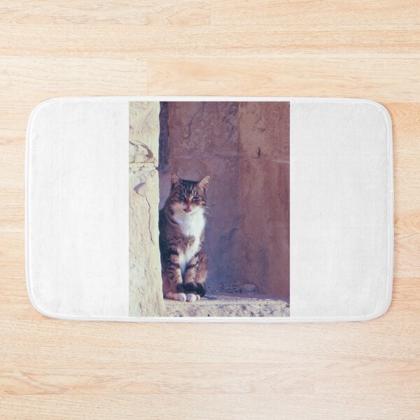 Item preview, Tabby Cat Sitting on Weathered Stone Ledge Beside Ancient Wall With Playful Expression designed and sold by Nmallia.