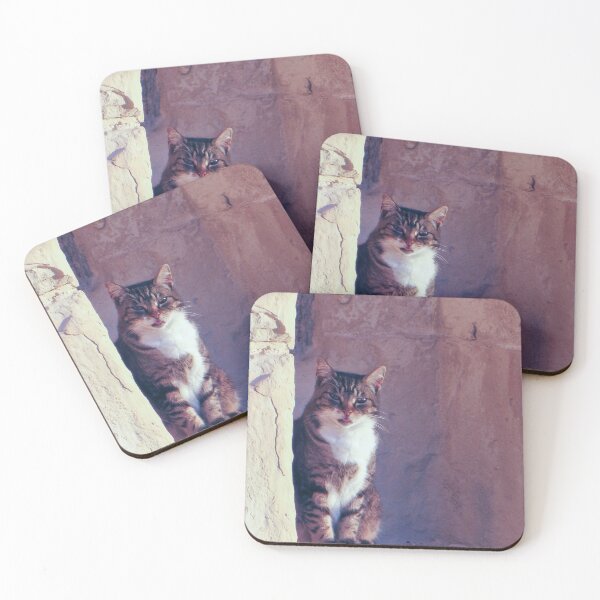 Item preview, Tabby Cat Sitting on Weathered Stone Ledge Beside Ancient Wall With Playful Expression designed and sold by Nmallia.