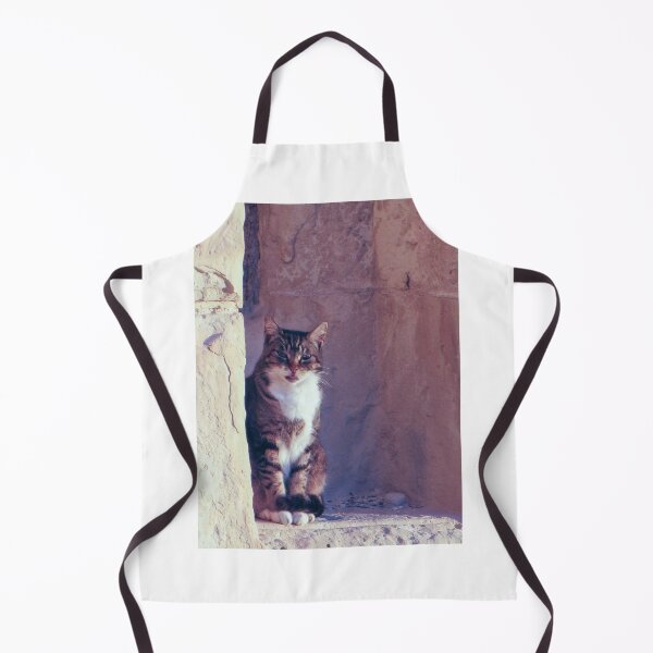 Artikelvorschau, Getigerte Katze sitzt mit verspieltem Gesichtsausdruck auf einem verwitterten Steinvorsprung neben einer alten Mauer. entworfen und verkauft von Nmallia.