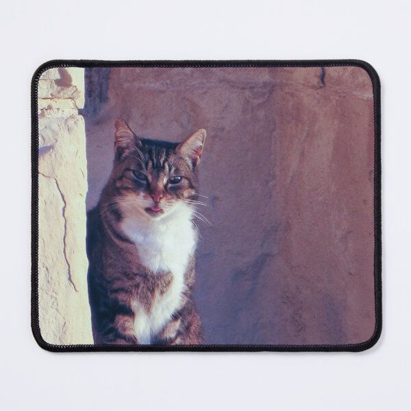 Item preview, Tabby Cat Sitting on Weathered Stone Ledge Beside Ancient Wall With Playful Expression designed and sold by Nmallia.