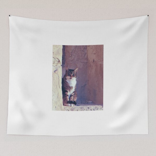 Item preview, Tabby Cat Sitting on Weathered Stone Ledge Beside Ancient Wall With Playful Expression designed and sold by Nmallia.