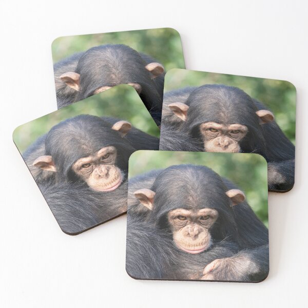 Item preview, Baby Chimp Connection designed and sold by rawshutterbug.