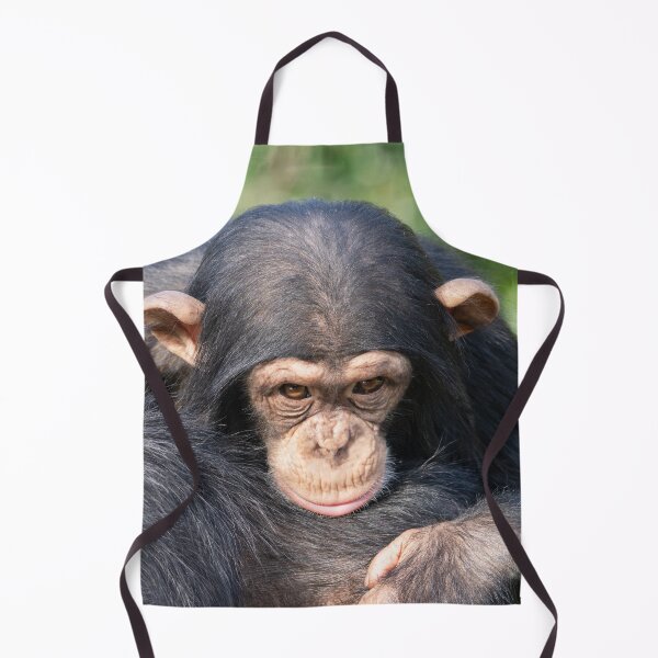 Item preview, Baby Chimp Connection designed and sold by rawshutterbug.