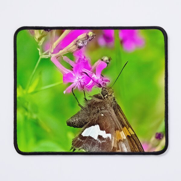 Item preview, Skipper Butterfly, Deptford Pink Flowers designed and sold by AMacGPhilly.