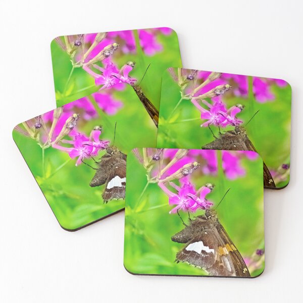 Item preview, Skipper Butterfly, Deptford Pink Flowers designed and sold by AMacGPhilly.