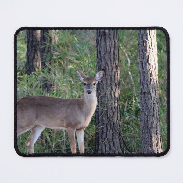 Item preview, Deer in a Forest Clearing designed and sold by Cynthia48.
