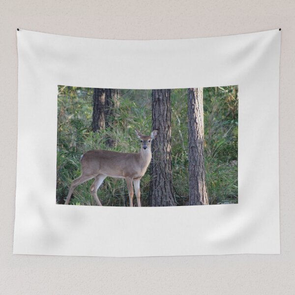 Item preview, Deer in a Forest Clearing designed and sold by Cynthia48.