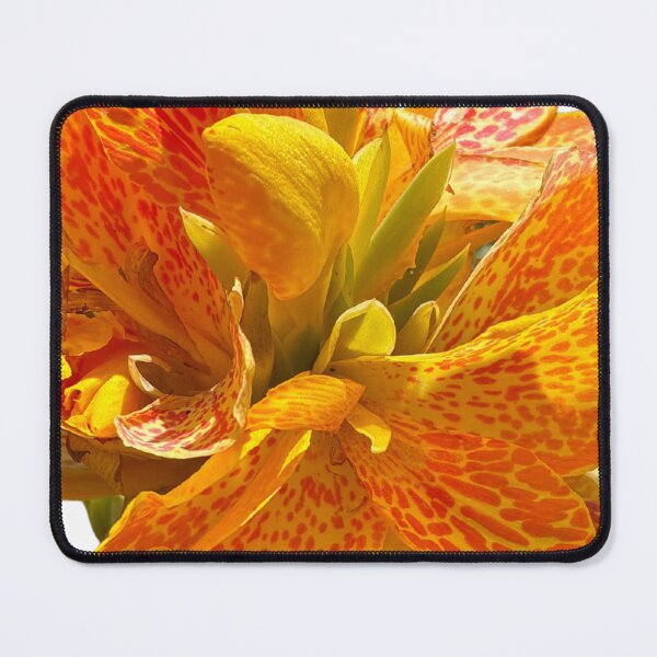 Item preview, Yellow Canna Lily  designed and sold by greencitystudio.