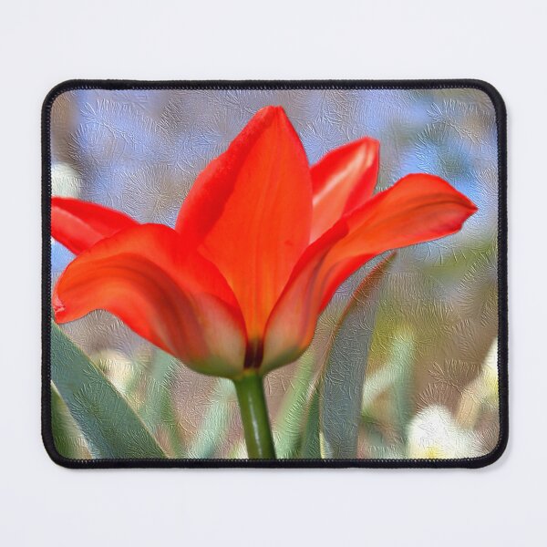 Item preview, Red Tulip Against Textured Background designed and sold by BostonArcImage.