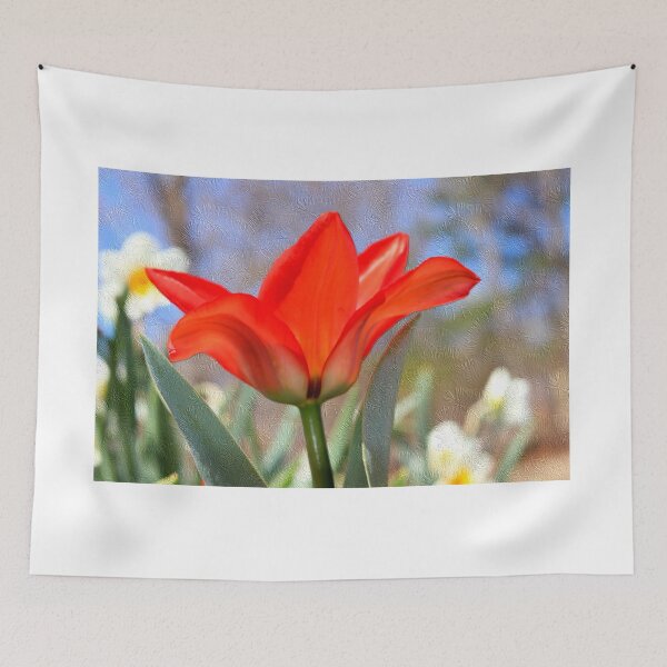 Item preview, Red Tulip Against Textured Background designed and sold by BostonArcImage.