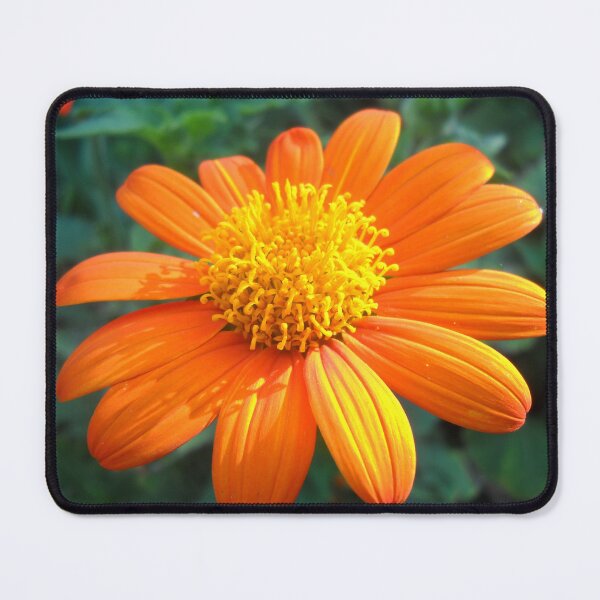 Item preview, Orange Flower designed and sold by Vitta.
