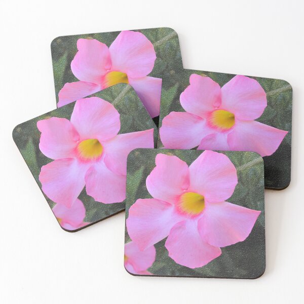Item preview, Brazilian Jasmine Against Textured Background designed and sold by BostonArcImage.