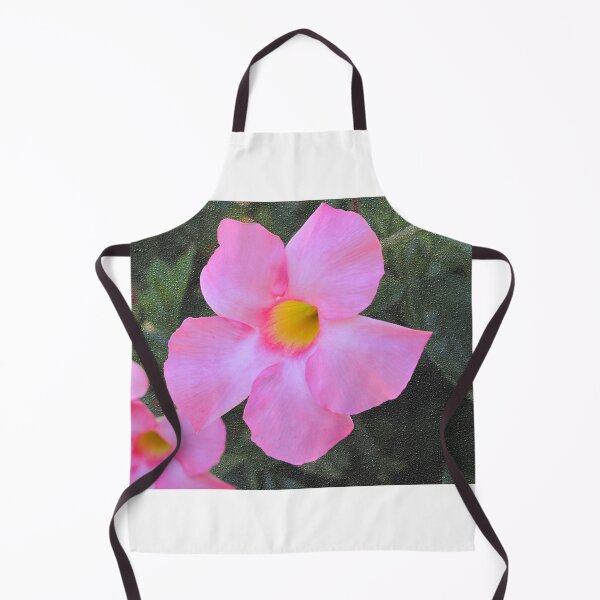 Item preview, Brazilian Jasmine Against Textured Background designed and sold by BostonArcImage.