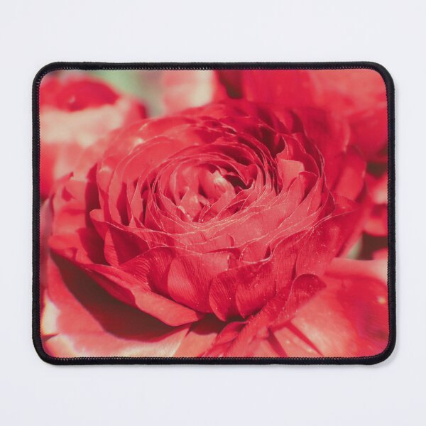 Item preview, Vintage Red Rose Bloom Retro Aesthetic designed and sold by Archontia-Maria.
