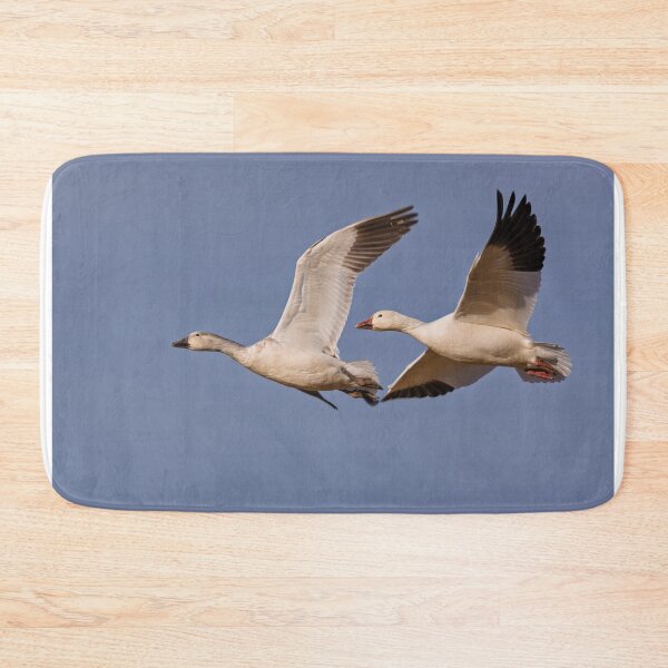 Item preview, Juvenile and Adult Snow Geese designed and sold by Gerard Fornarotto.