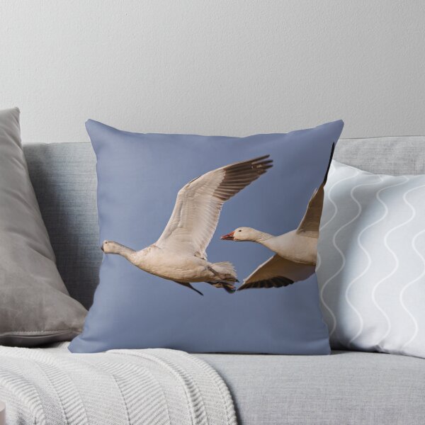 Item preview, Juvenile and Adult Snow Geese designed and sold by Gerard Fornarotto.