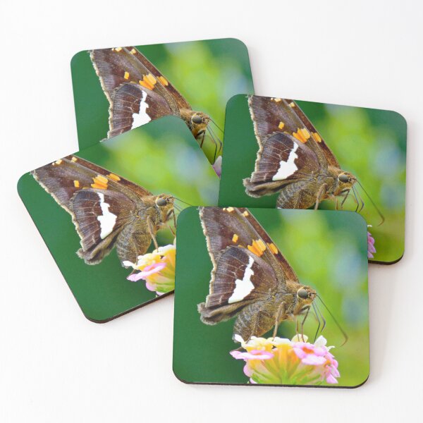 Item preview, Silver-spotted Skipper Butterfly Sipping Flower Nectar designed and sold by AMacGPhilly.