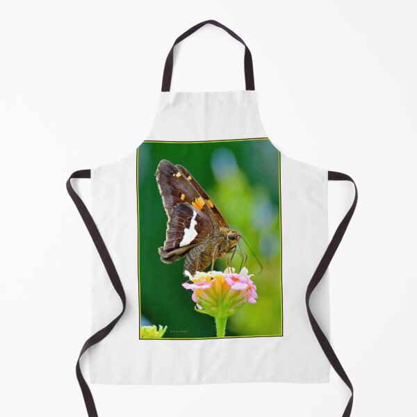 Item preview, Silver-spotted Skipper Butterfly Sipping Flower Nectar designed and sold by AMacGPhilly.