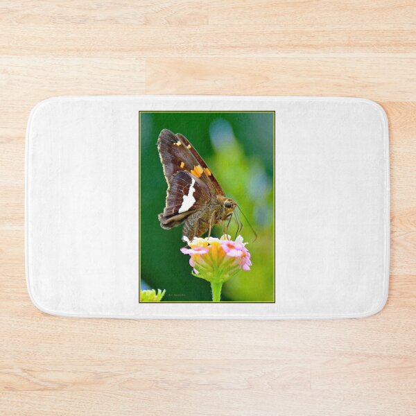 Item preview, Silver-spotted Skipper Butterfly Sipping Flower Nectar designed and sold by AMacGPhilly.