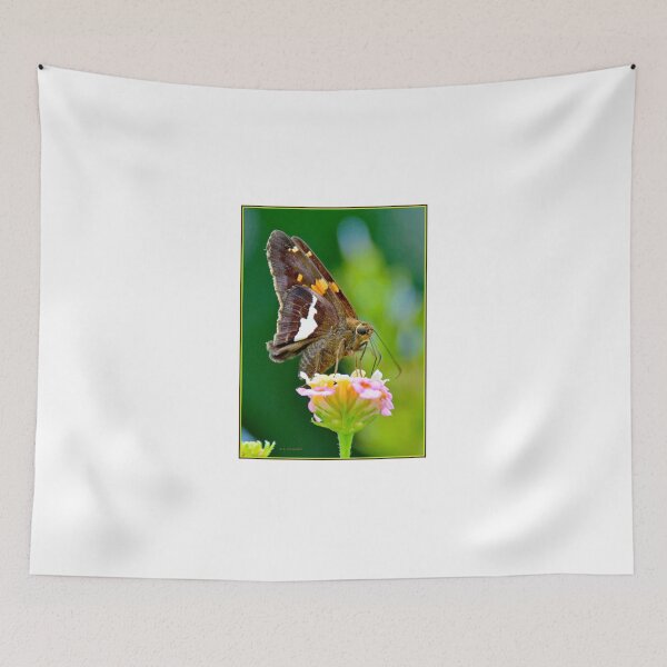 Item preview, Silver-spotted Skipper Butterfly Sipping Flower Nectar designed and sold by AMacGPhilly.