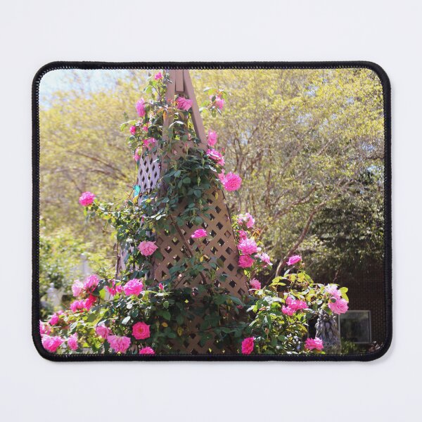 Item preview, Garden Trellis with Pink Climbing Roses designed and sold by Cynthia48.