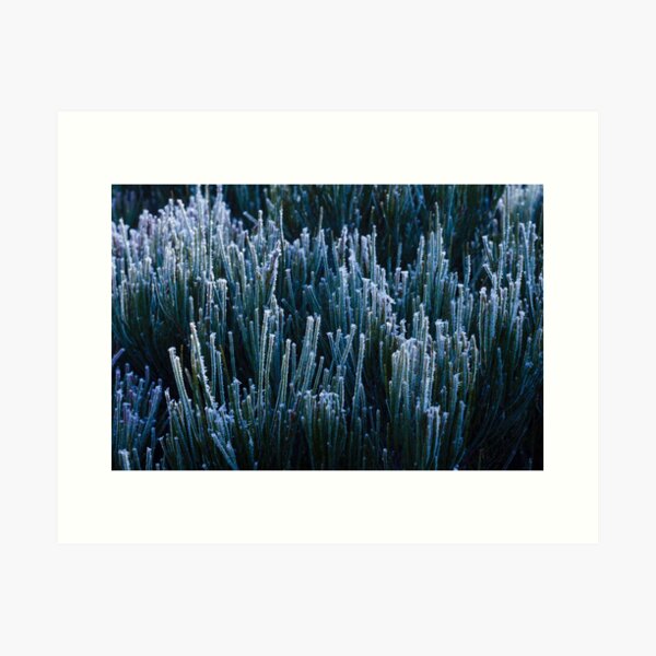 Item preview, Blackheath morning designed and sold by Willscape.