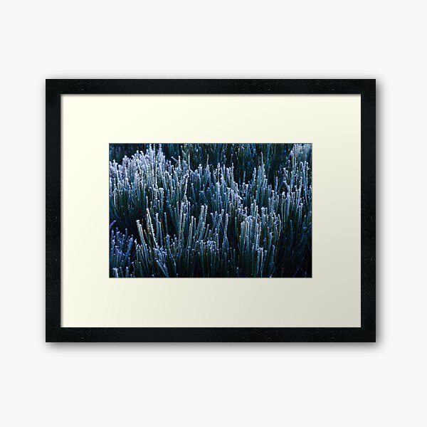 Item preview, Blackheath morning designed and sold by Willscape.