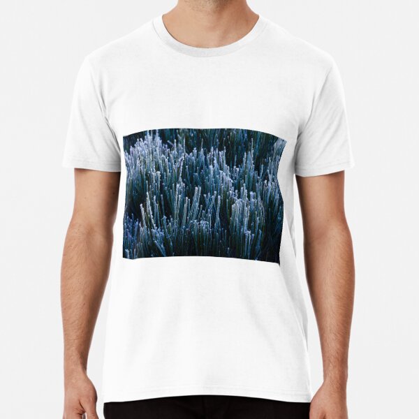 Item preview, Blackheath morning designed and sold by Willscape.