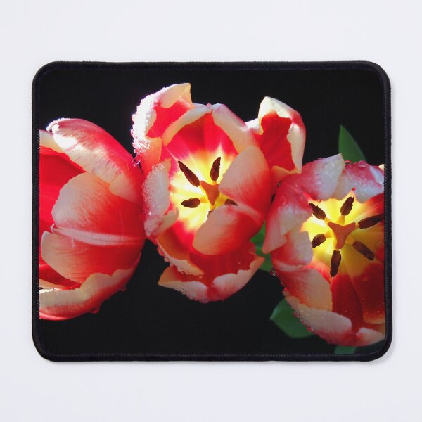 Item preview, Vitta designed and sold by Vitta.