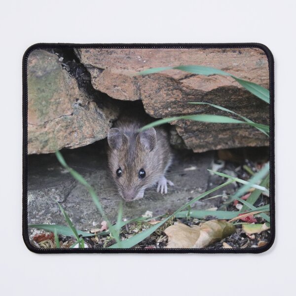 Item preview, Angry Mouse designed and sold by StomperMcEwan.